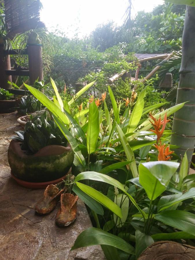 Posada Olivo 马祖特 外观 照片